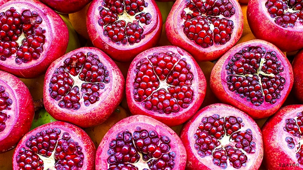 Гранат Pomegranate