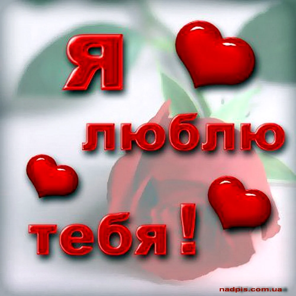 Я тебя люблю