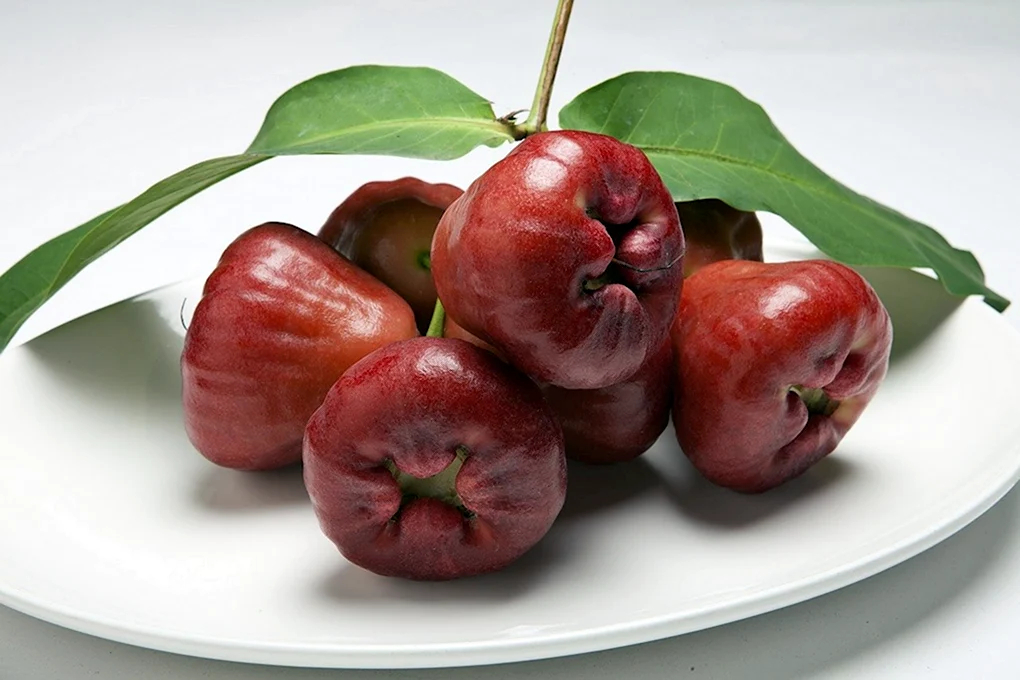 Jambu фрукт