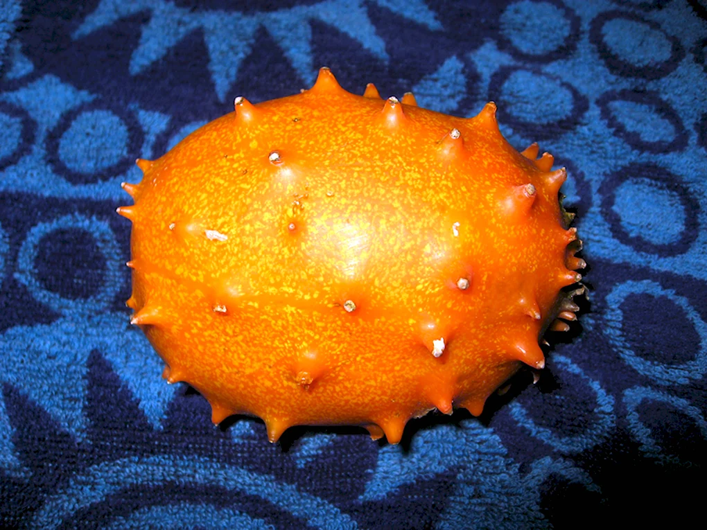 Кивано
