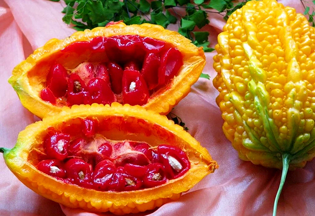 Кивано и момордика