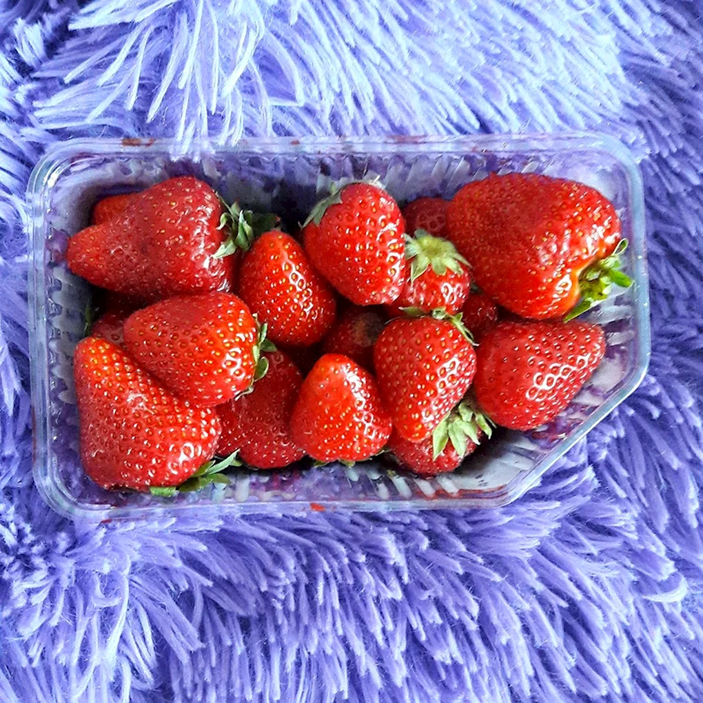 Клубника