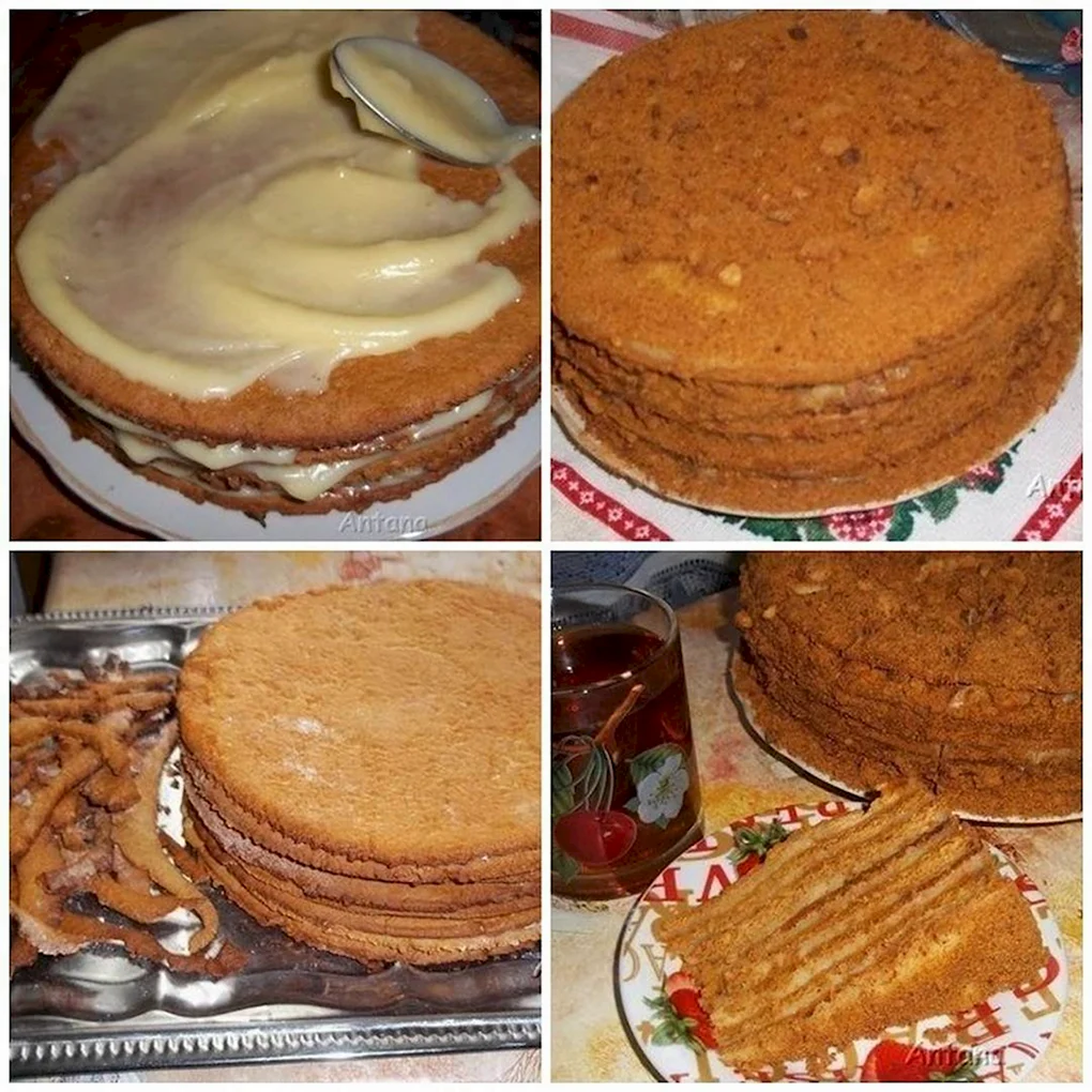 Коржи для торта