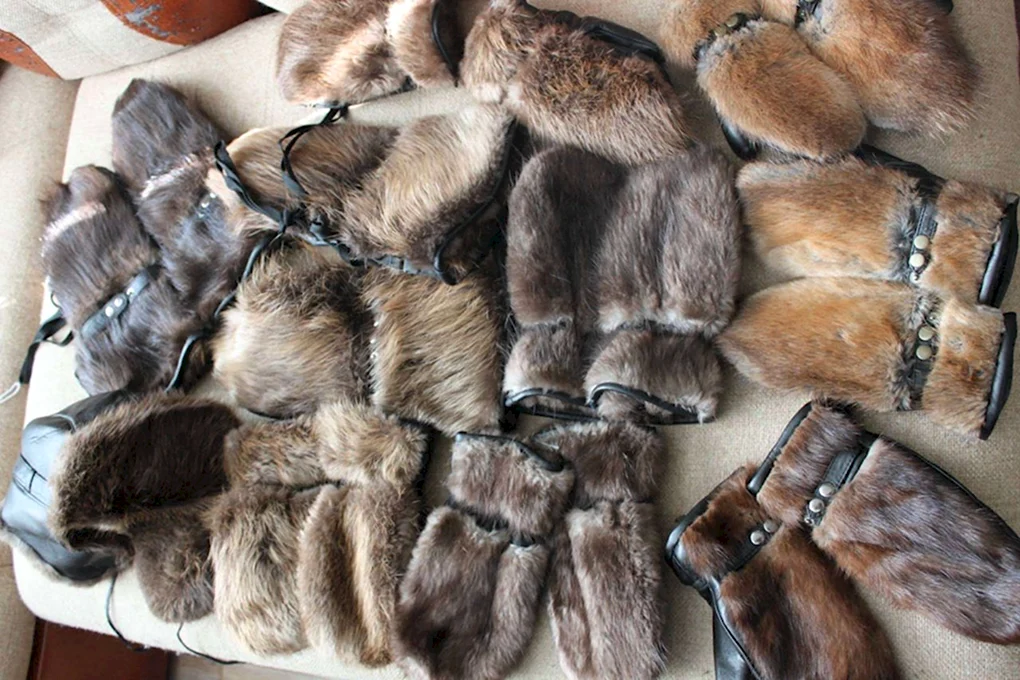 Краги из бобра