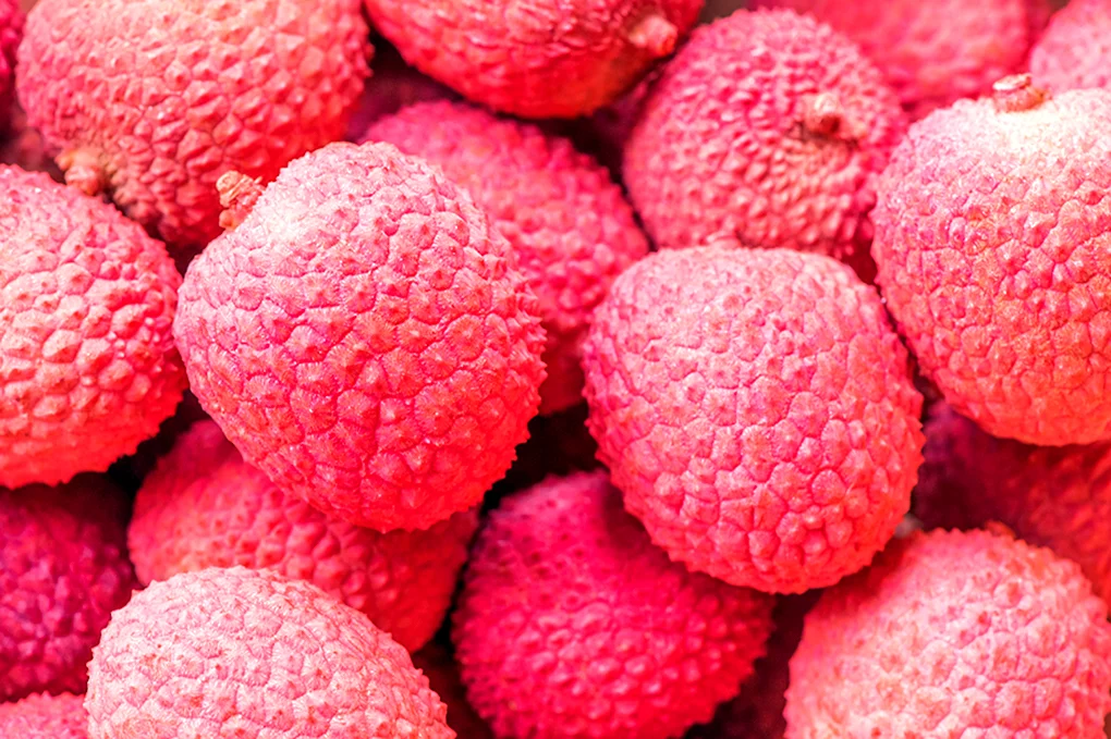 Litchi ягода