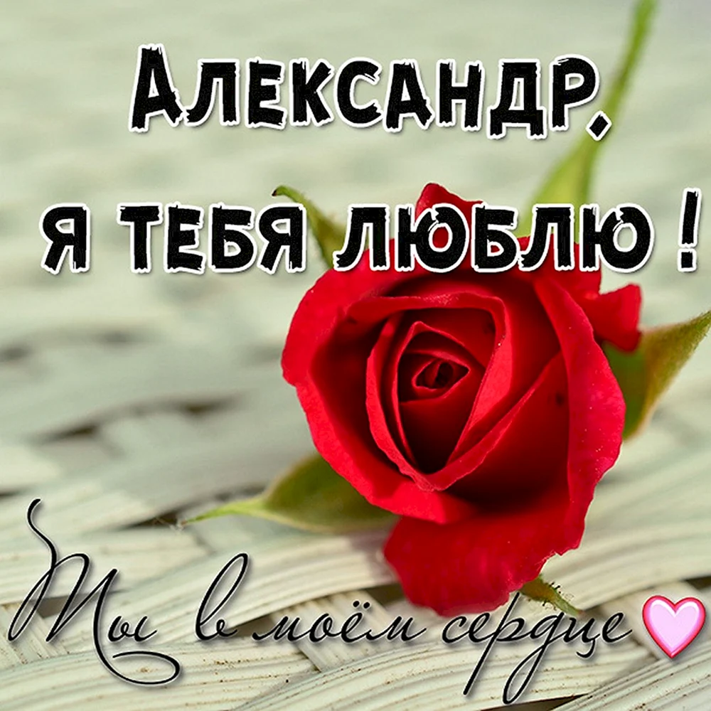 Люблю тебя Александр