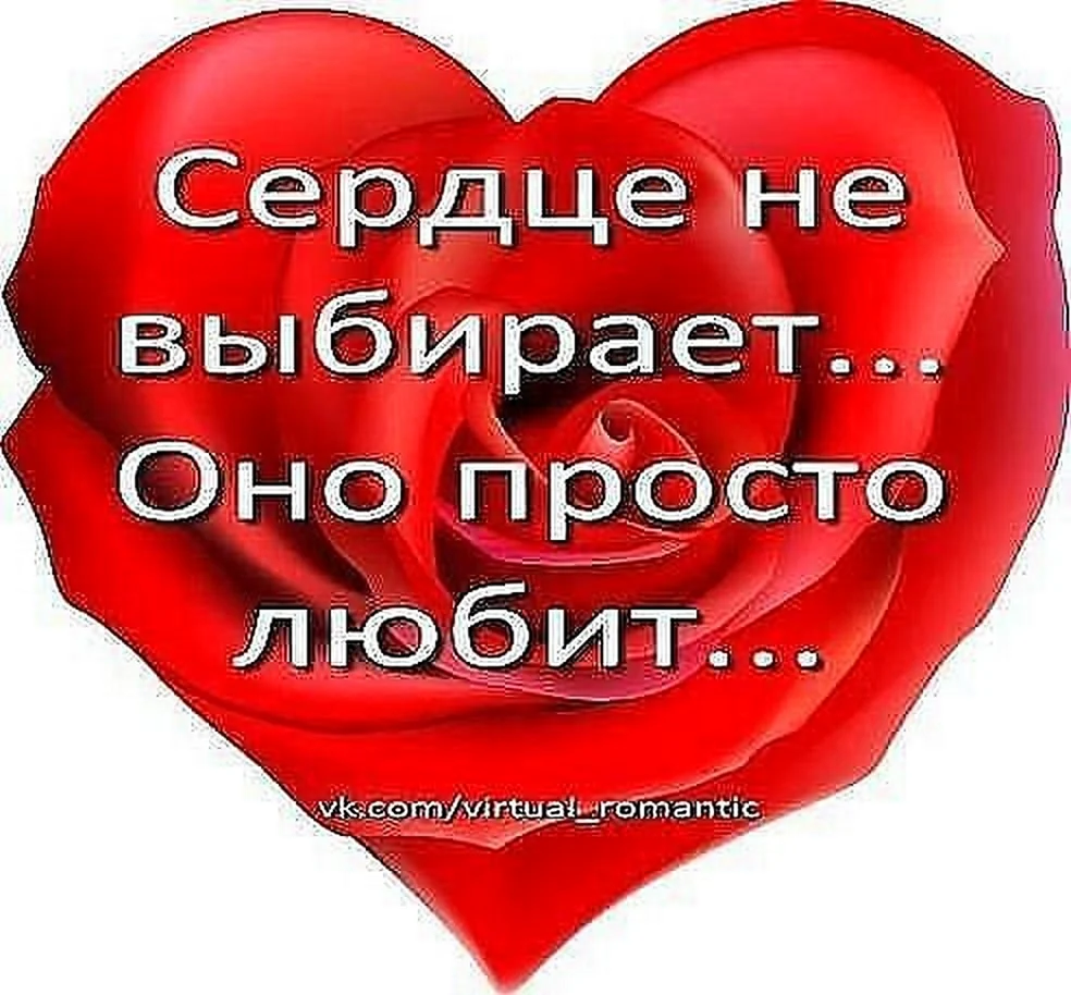 Люблю всем сердцем