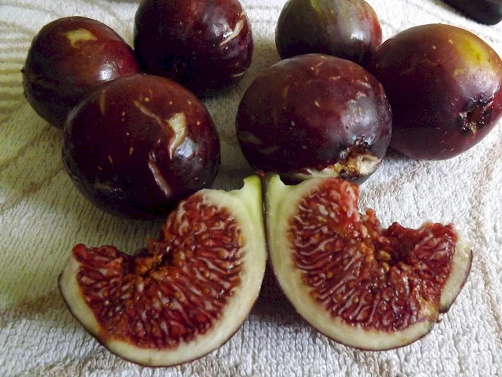 Маракуйя гранат инжир
