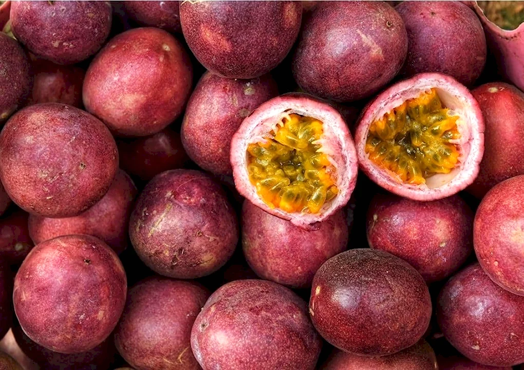 Маракуйя пассифлора фрукт