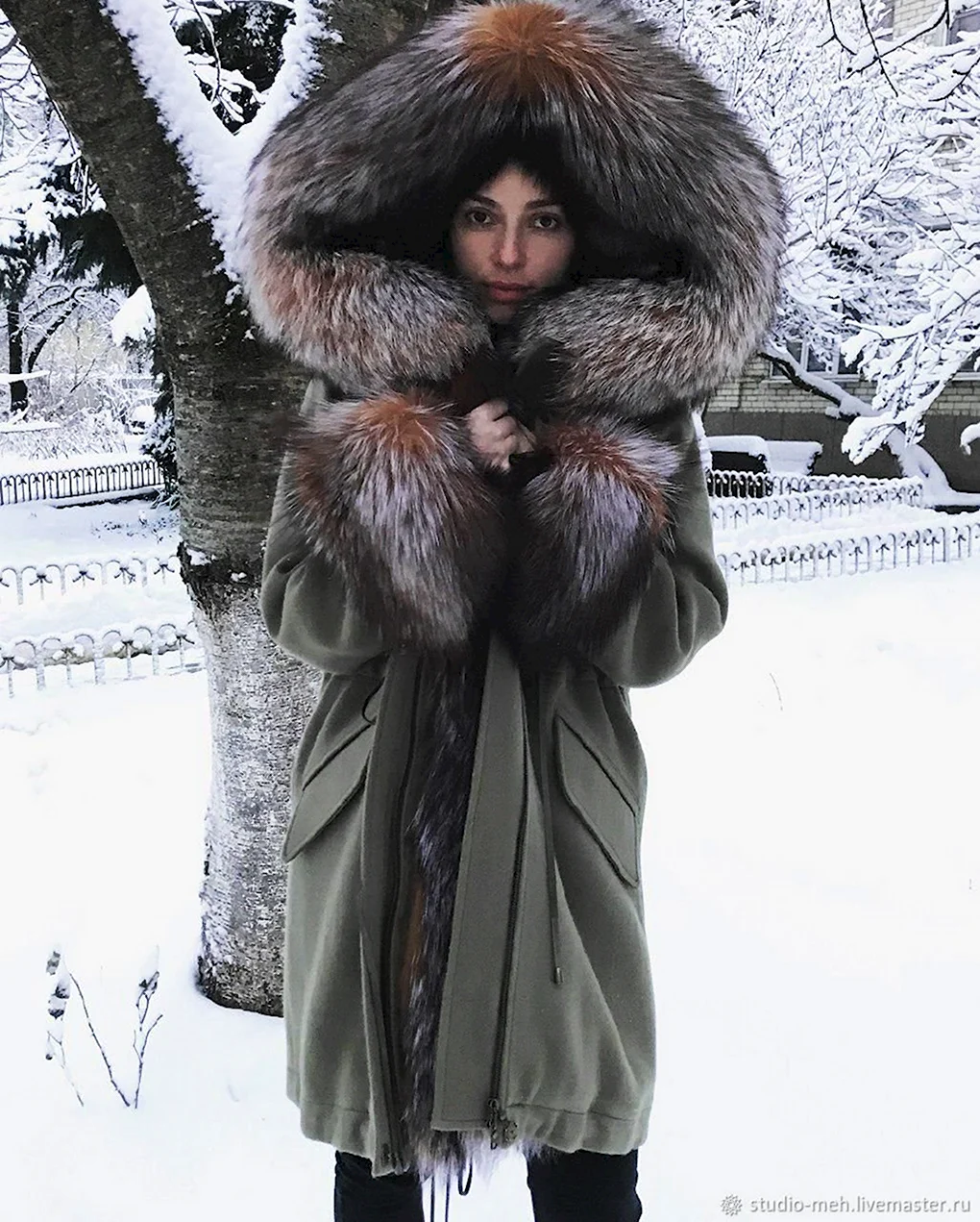 Парка Снежная Королева песец