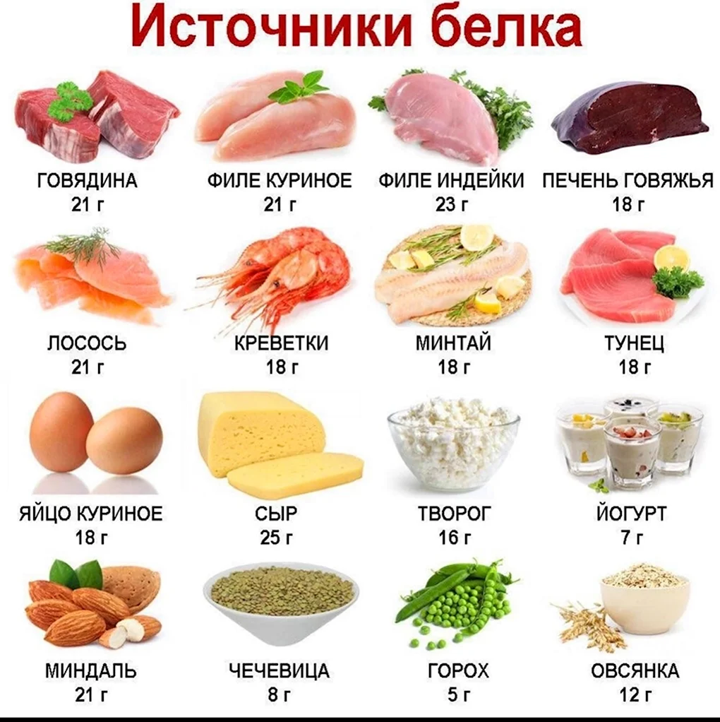 Пища с высоким содержанием белка