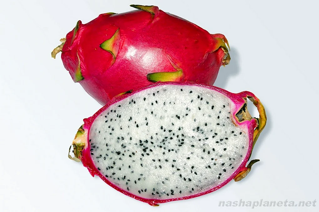 Питахайя Драконий фрукт