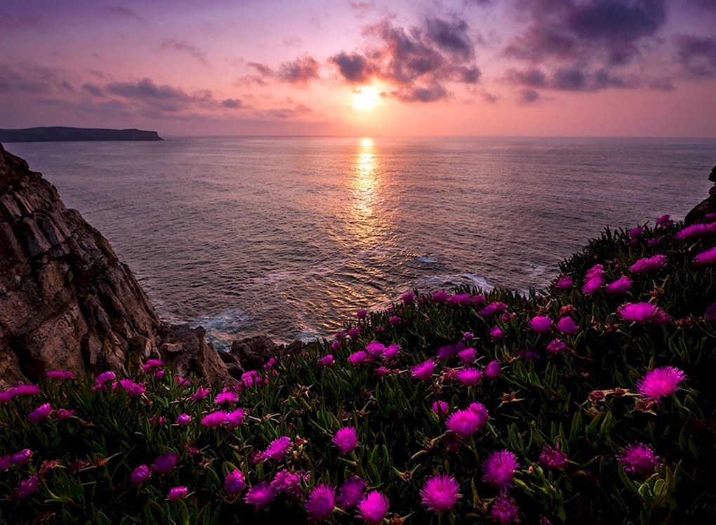 Природа море