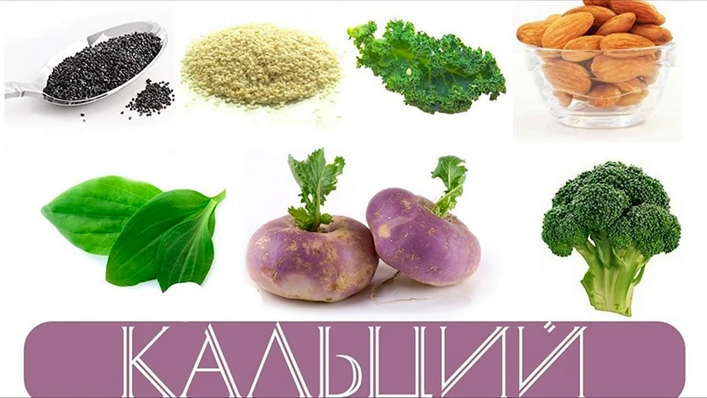 Продукты богатые кальцием