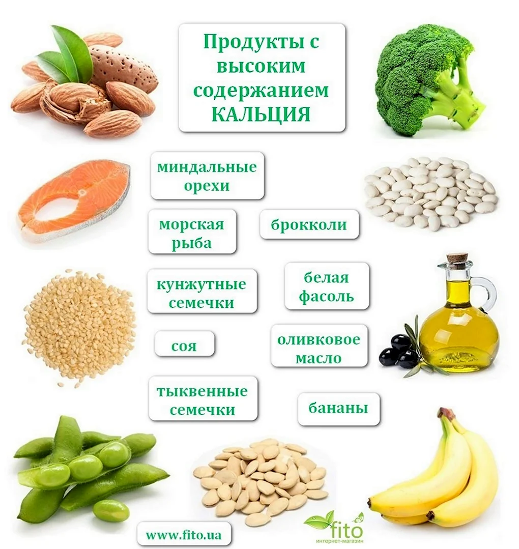 Продукты богатые кальцием таблица для детей
