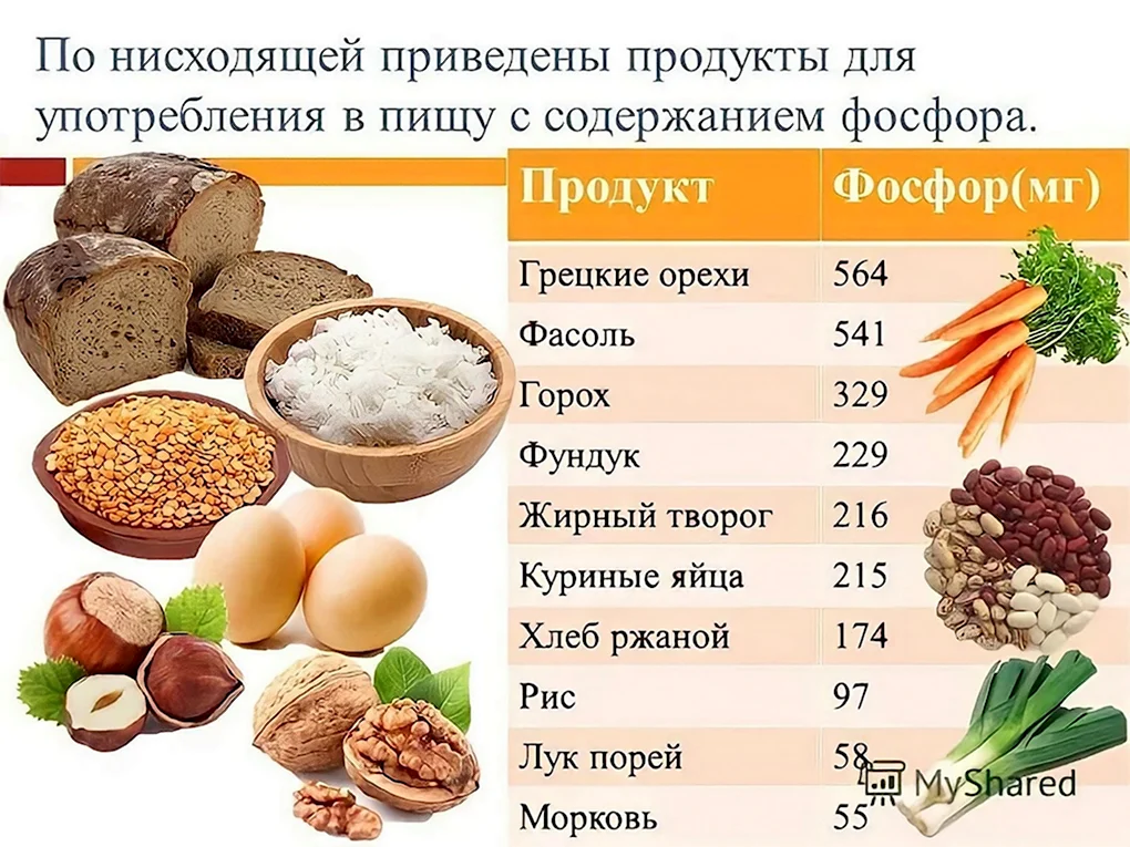 Продукты с высоким содержанием фосфора