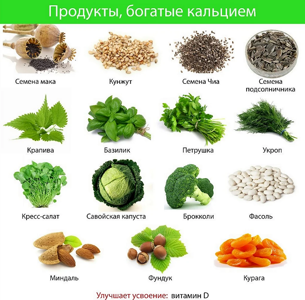 Продукты содержащие кальций в большом количестве