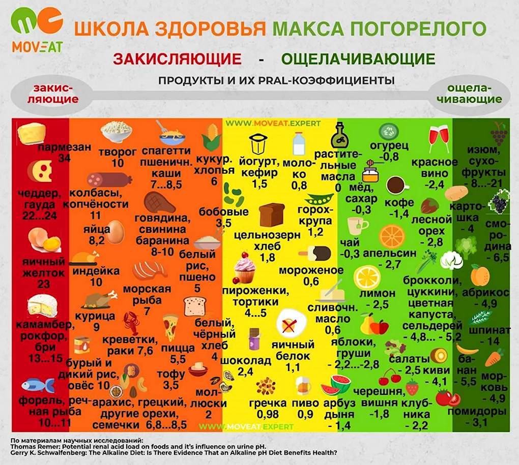 Продукты закисляющие организм человека таблица и ощелачивающие