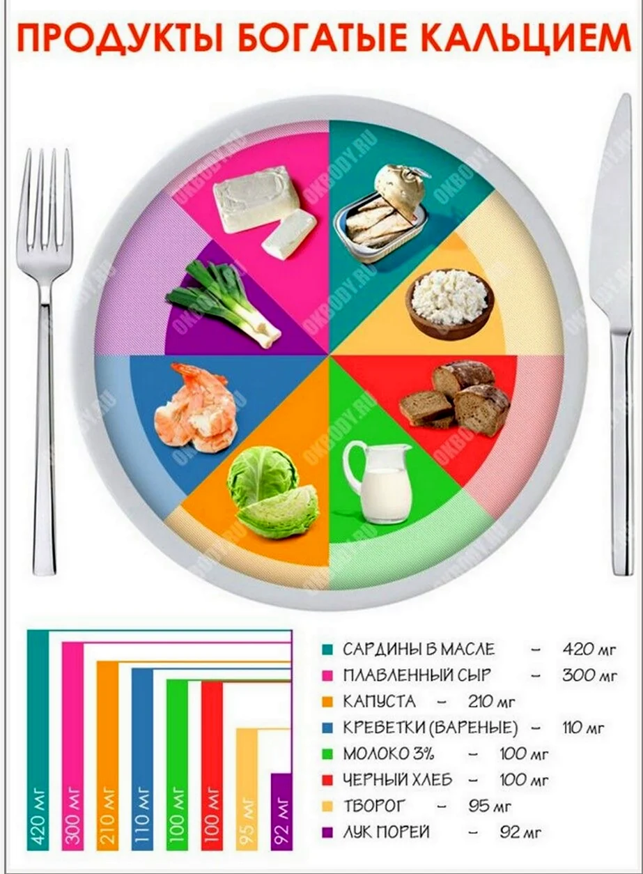 Продуктыы богаты кальций