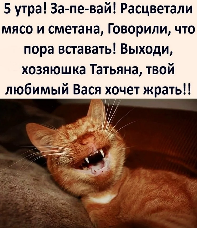 Расцветали мясо и сметана говорили