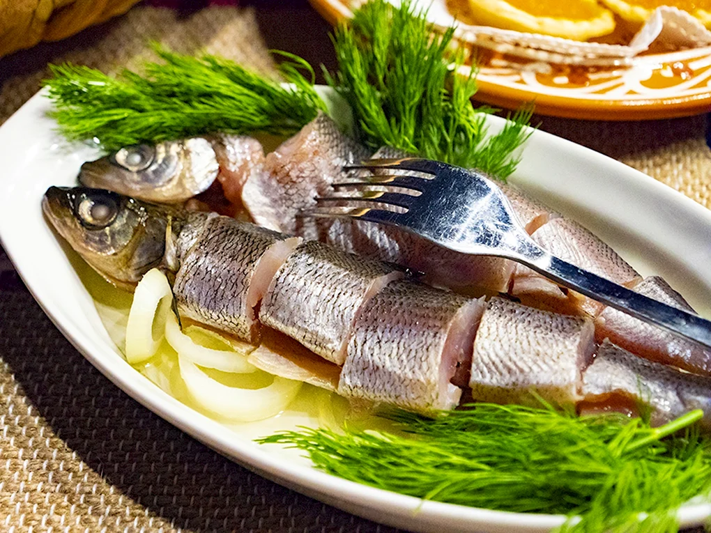 Ряпушка карельская