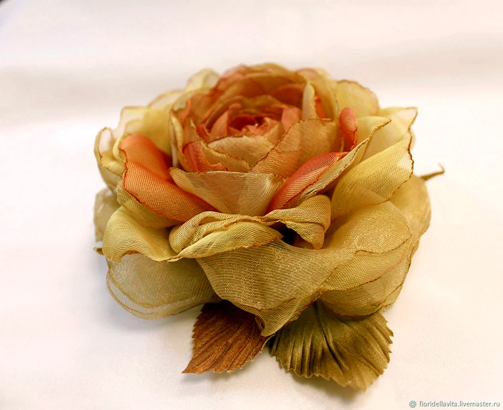Роза шифон Chiffon