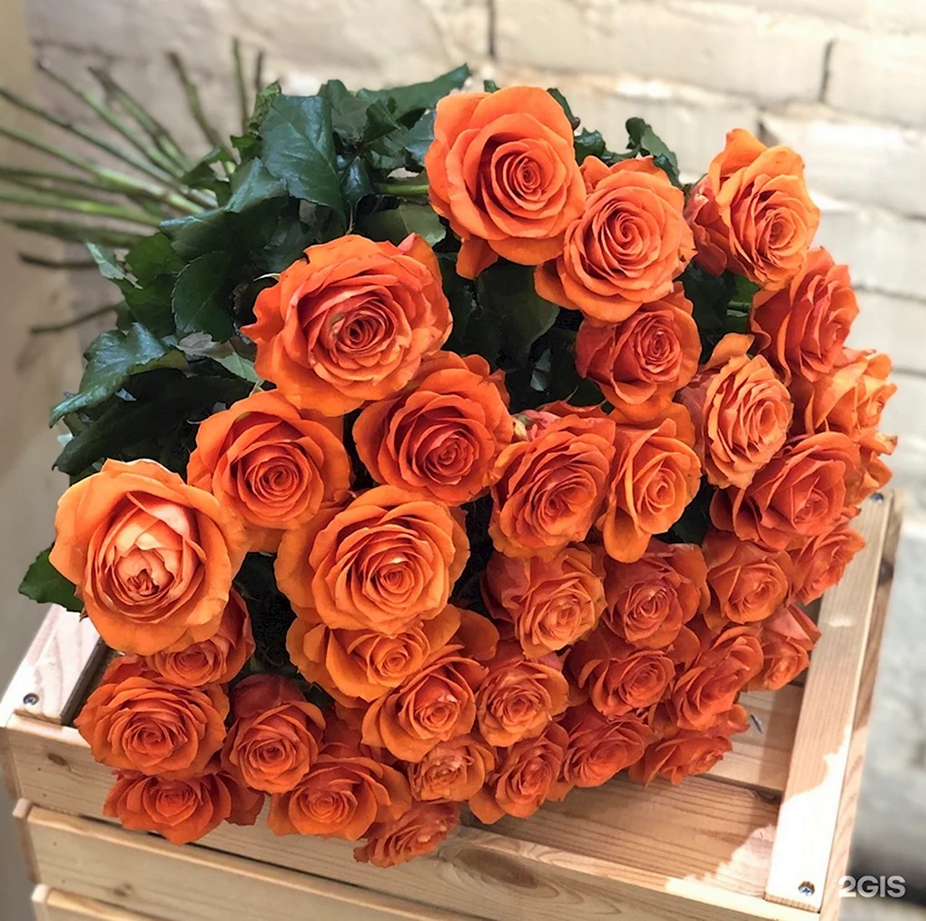 Рыжие розы букет