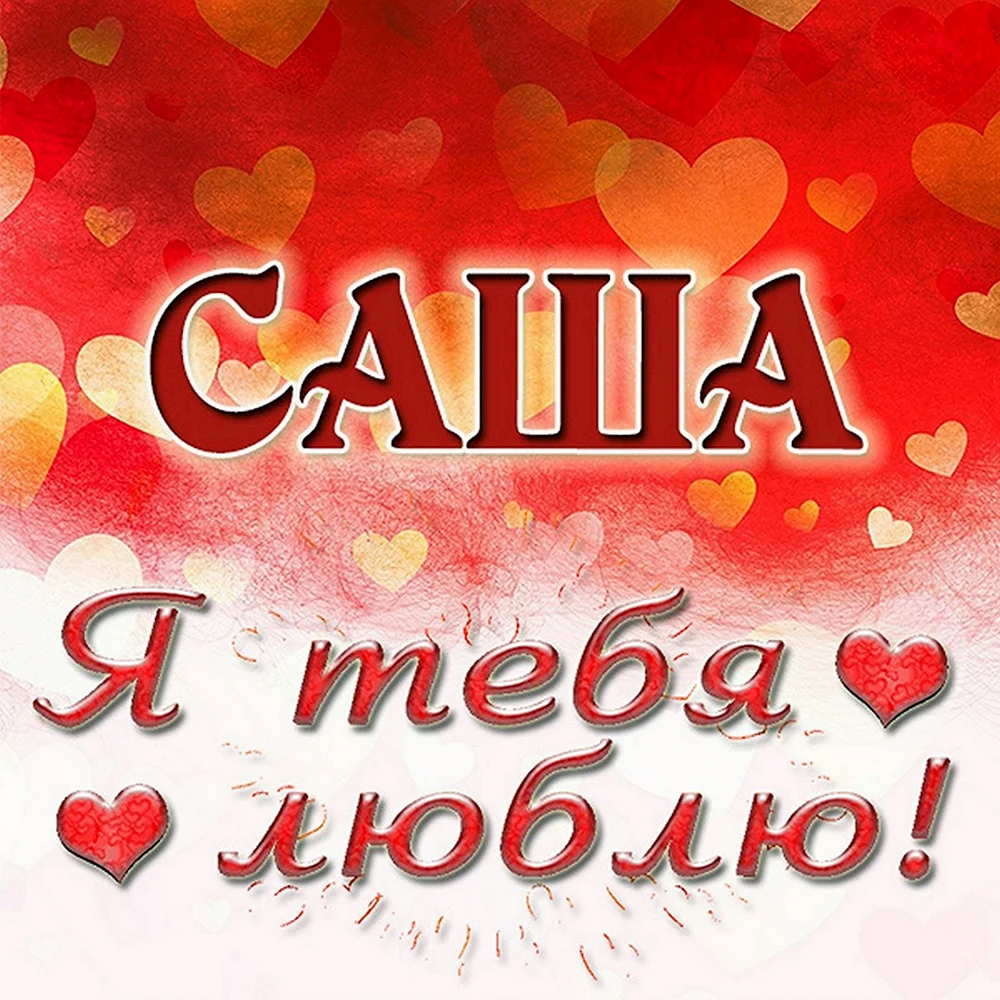 Саша я тебя люблю