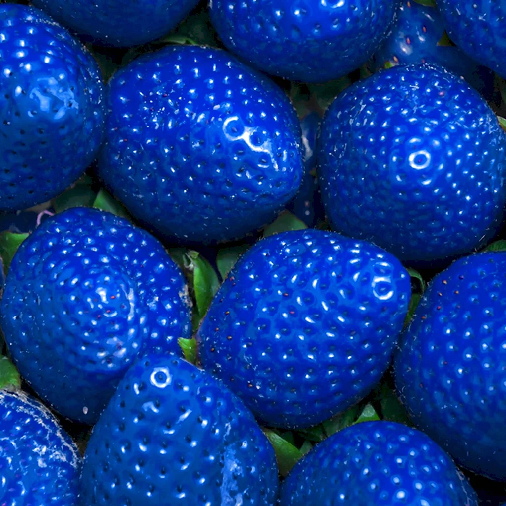 Синяя клубника бмор