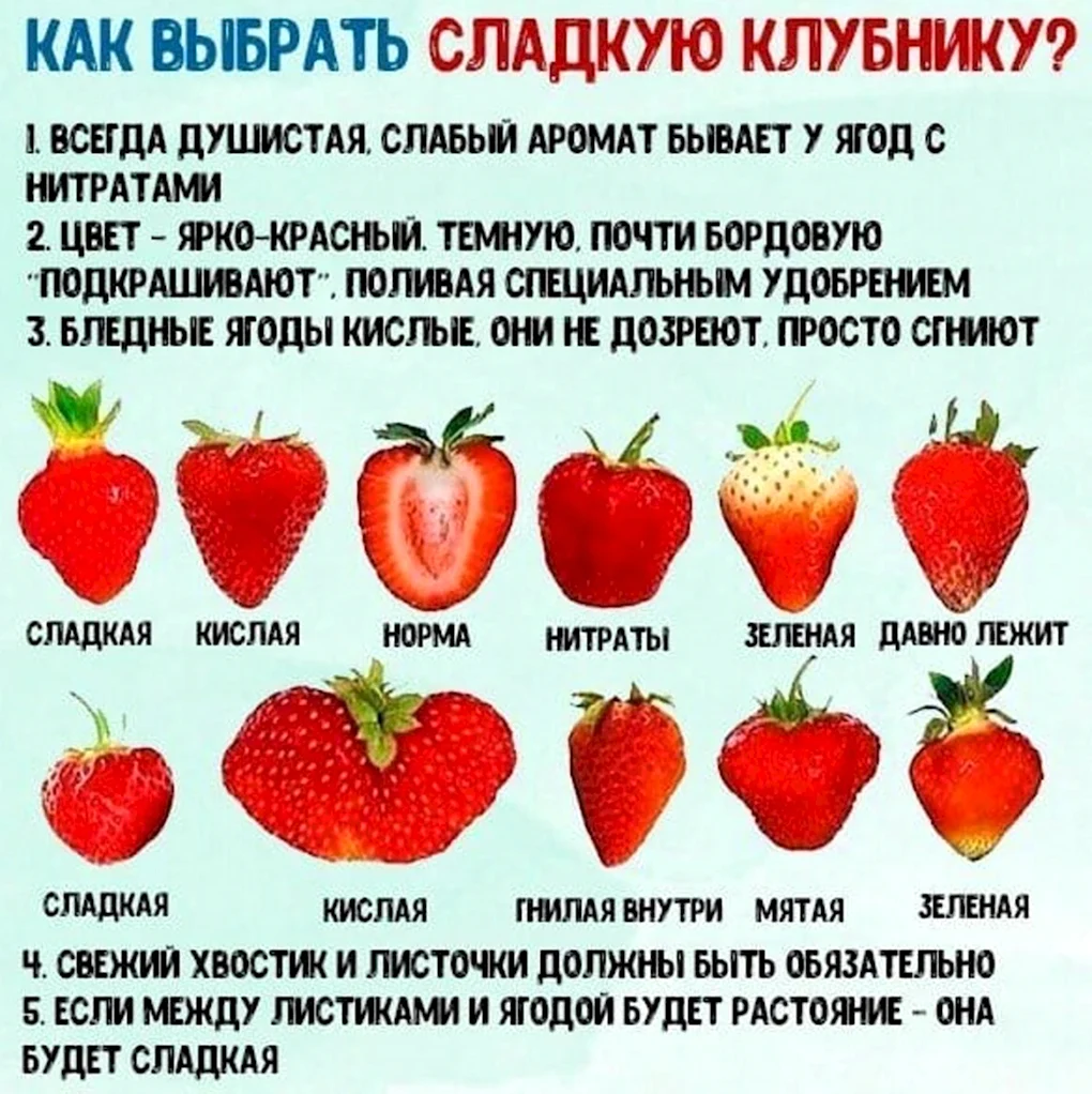 Сладкие сорта клубники