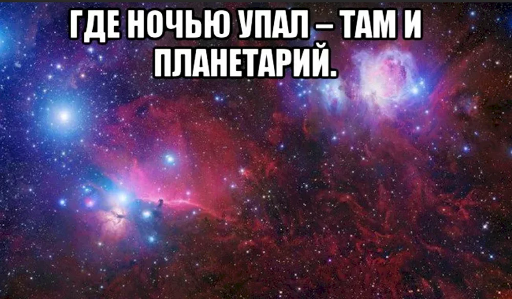 Ты просто няшка