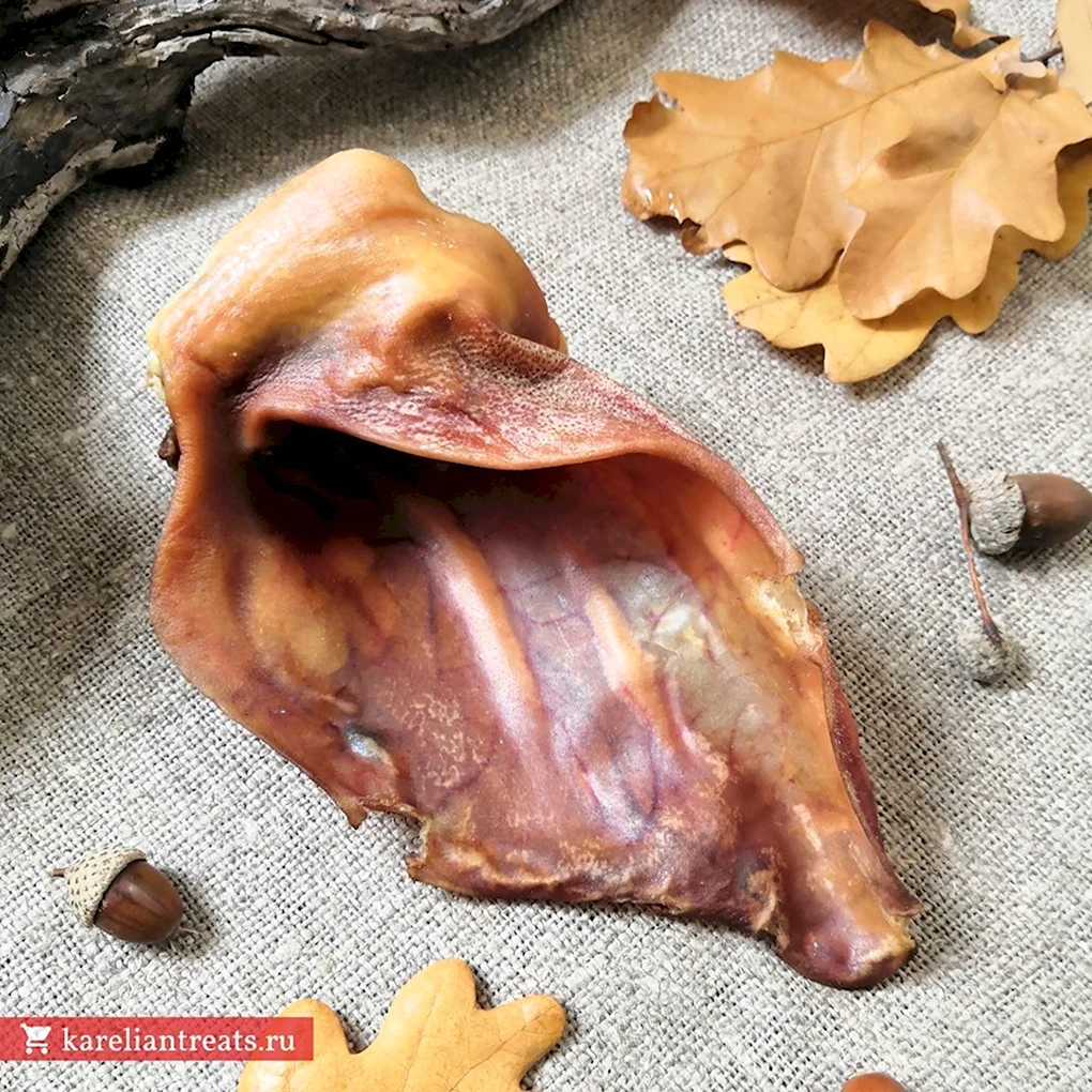 Ухо свиное лакомство для собак