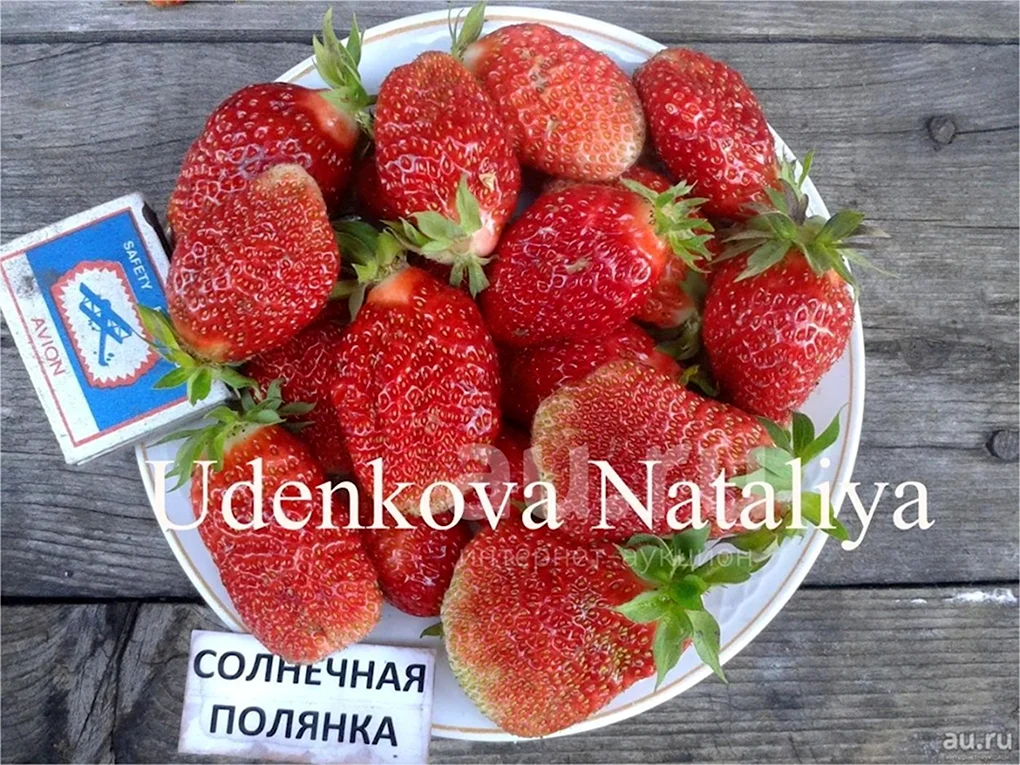 Виктория сорт Даренка
