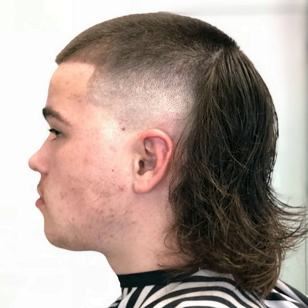 Wolfcut Mullet
