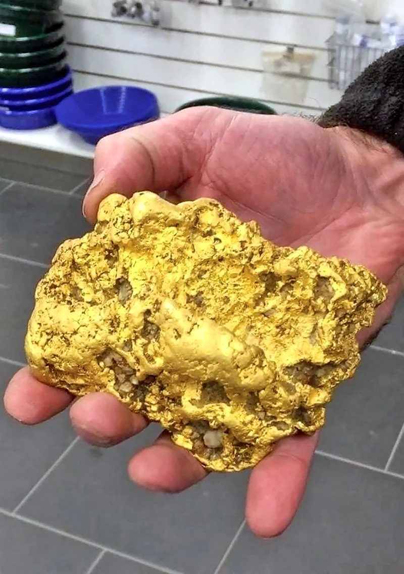 Золотой самородок Gold Rush